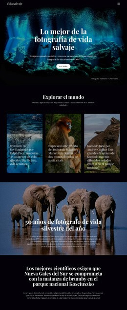 Diseñador De Sitios Web Para Vida Salvaje Y Naturaleza