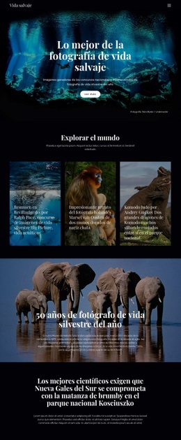 Vida Salvaje Y Naturaleza - Página De Destino Gratuita, Plantilla HTML5