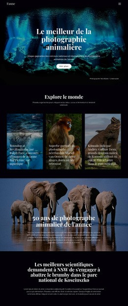 Concepteur De Site Web Pour Faune Et Nature