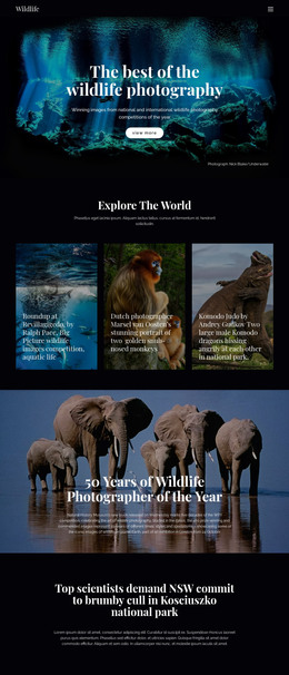 Wildlife And Nature - Premium Elements Template
