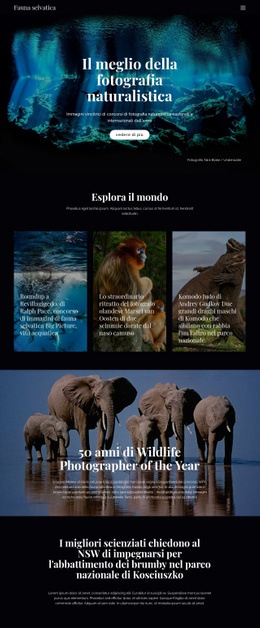 Fauna E Natura Modello Reattivo HTML5