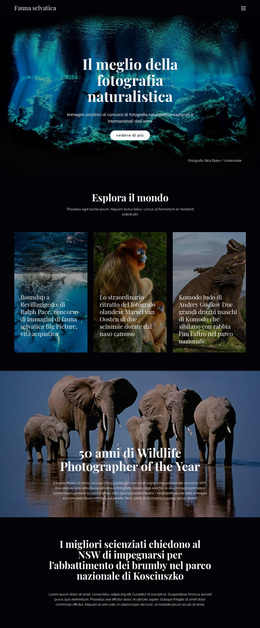 Fauna E Natura - Tema WordPress Premium