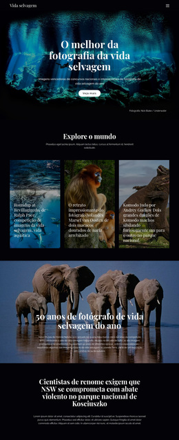 Vida Selvagem E Natureza - Tema WordPress Premium