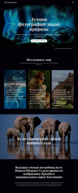 Дизайнер Веб-Сайтов Для Дикая Природа И Природа