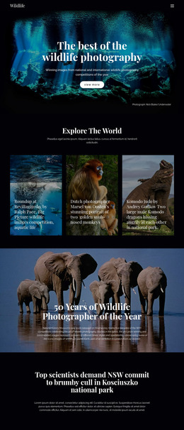 Wildlife And Nature - Custom Website Mockup