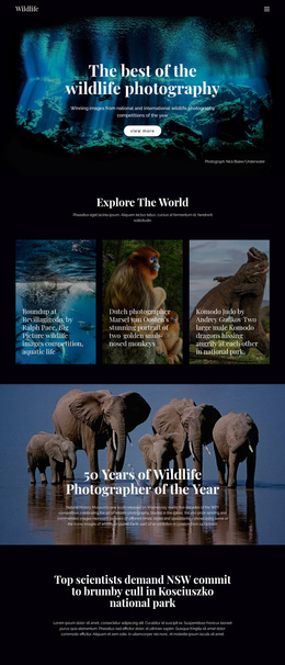 Wildlife And Nature - Professional Landing Page