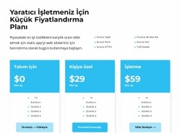 Bu Fiyatlandırma Anlamına Gelir - HTML5 Website Builder