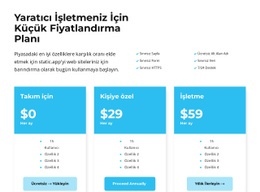 Bu Fiyatlandırma Anlamına Gelir