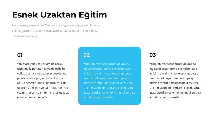 asıl işiniz Web Sitesi Mockup'ı