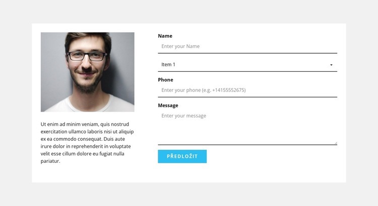 Fotka, text a kontaktní formulář Téma WordPress