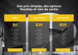 Choisissez Votre Tarif Personnel - Conception De Sites Web Réactifs