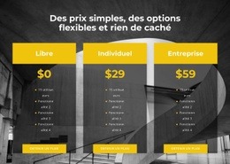 Créateur De Sites Web Polyvalents Pour Choisissez Votre Tarif Personnel