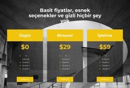 Kişisel Fiyatlandırmanızı Seçin