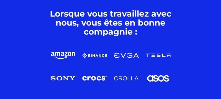 Nous sommes spécialisés dans la création de marques Modèles de constructeur de sites Web