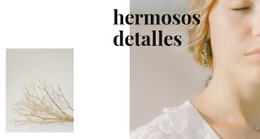 Detalles De Joyería - Diseño Responsivo