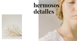 Detalles De Joyería - Mejor Diseño De Plantilla De Sitio Web