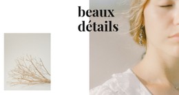 Modèle HTML5 Responsive Pour Détails Des Bijoux