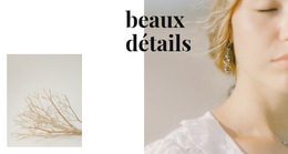 Détails Des Bijoux - Meilleure Conception De Modèle De Site Web