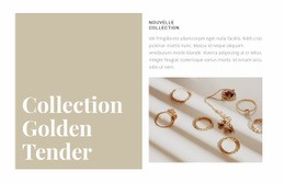 Une Collection De Bijoux Exquis - Site De Démarrage