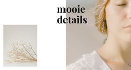 Sieraden Details - Eenvoudig WordPress-Thema