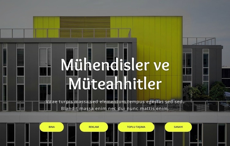 Yapısal mühendislik Web Sitesi Mockup'ı