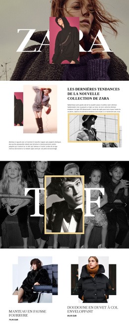 Maquette De Site Web Gratuite Pour Zara