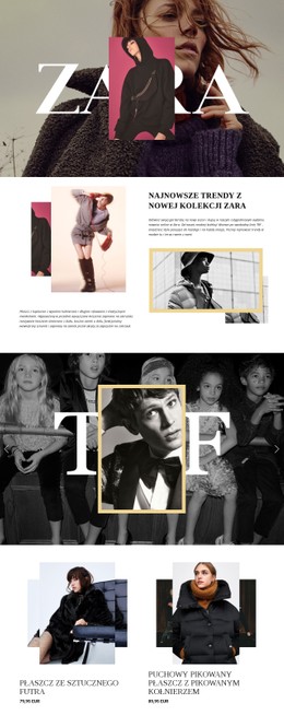 Zara Szablon CSS Premium