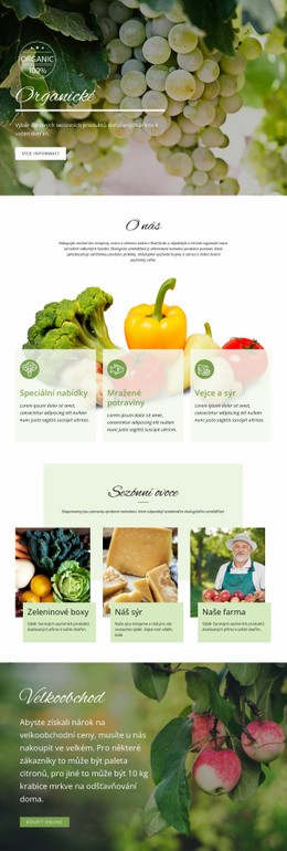 Nabídka CSS Pro Zdravější S Biopotravinami
