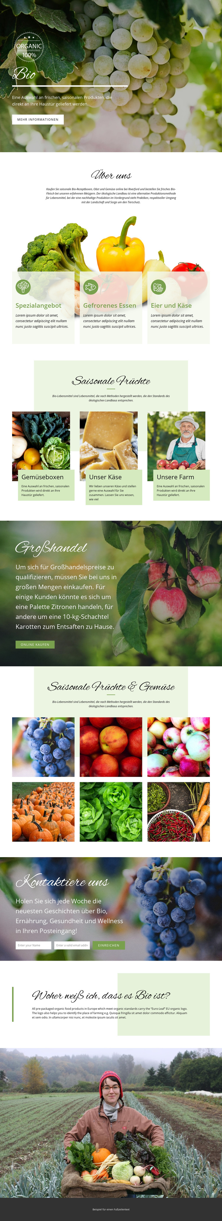 Gesünder mit Bio-Lebensmitteln WordPress-Theme