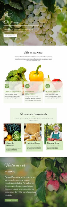 Más Saludable Con Alimentos Orgánicos - HTML Site Builder