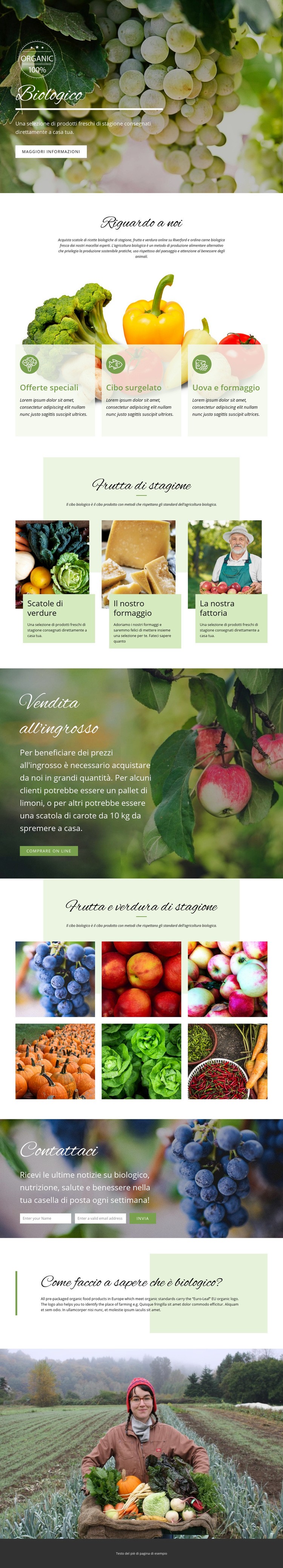 Più sano con il cibo biologico Costruttore di siti web HTML