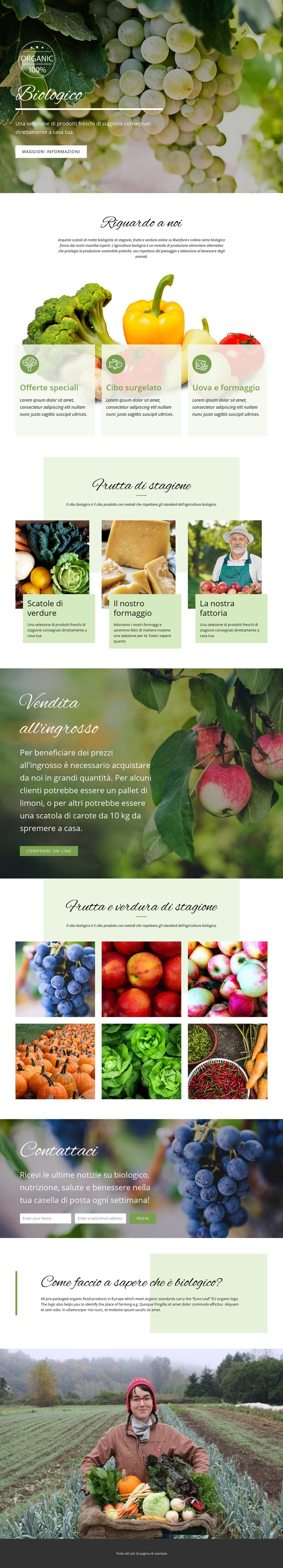 Più sano con il cibo biologico Modelli di Website Builder