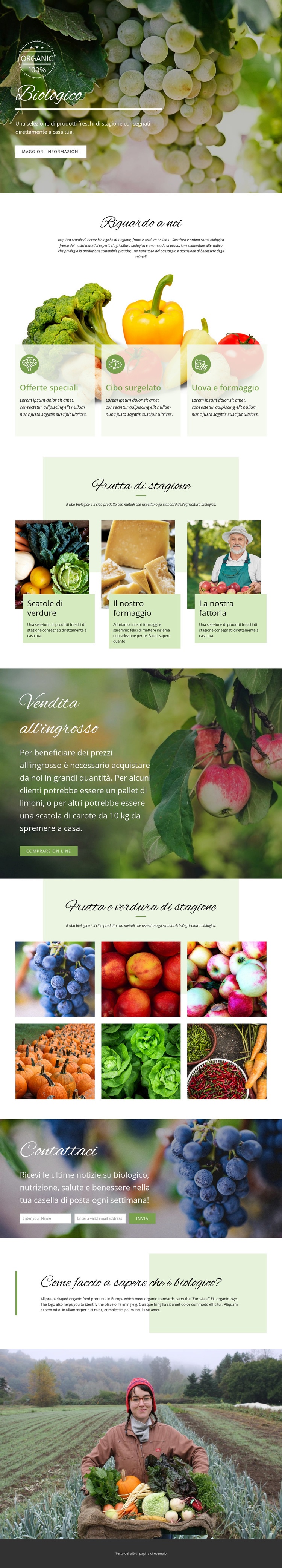 Più sano con il cibo biologico Modello HTML