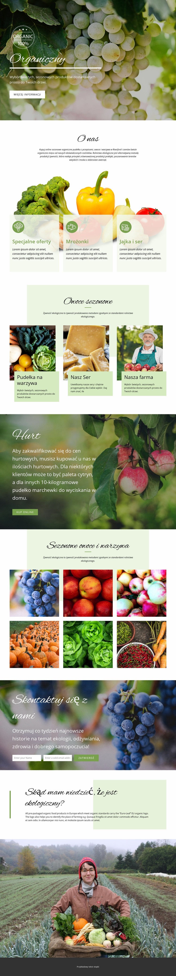 Zdrowsze z żywnością ekologiczną Kreator witryn internetowych HTML