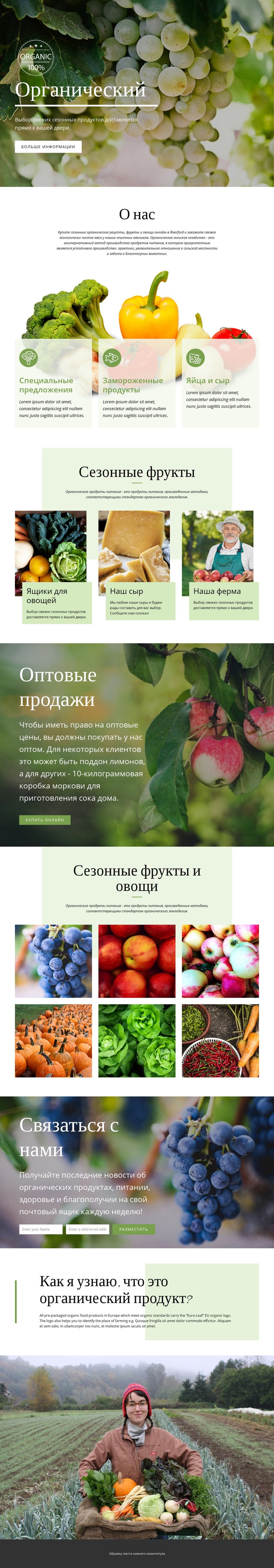 Здоровее с органическими продуктами Дизайн сайта