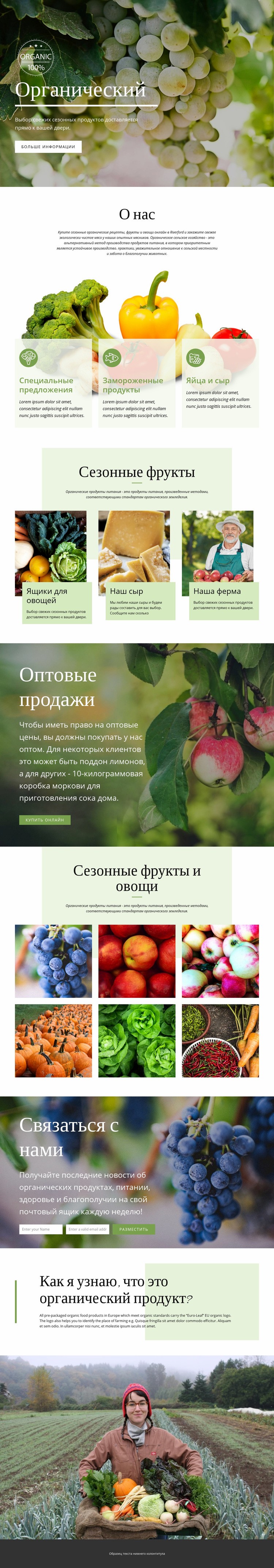 Здоровее с органическими продуктами Шаблон веб-сайта