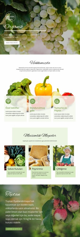 Organik Gıda Ile Daha Sağlıklı Işletme Web Sitesi