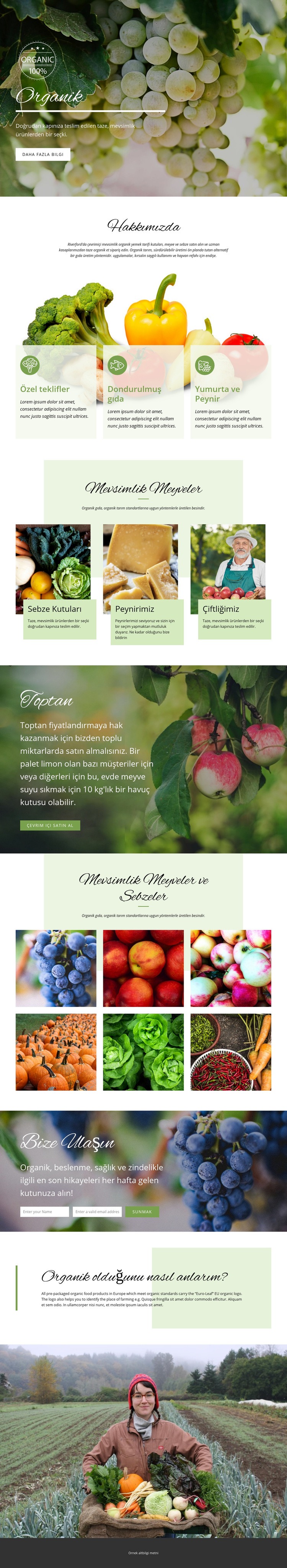Organik gıda ile daha sağlıklı Web Sitesi Mockup'ı