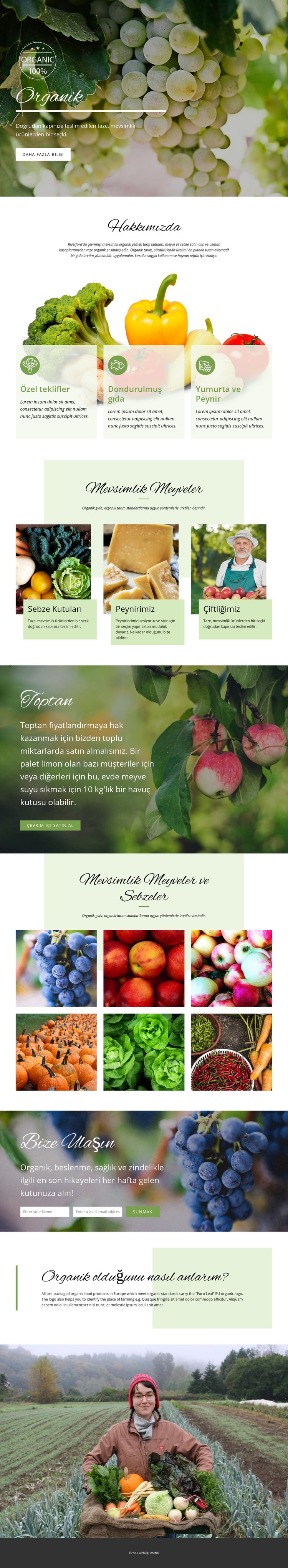 Organik gıda ile daha sağlıklı Web sitesi tasarımı