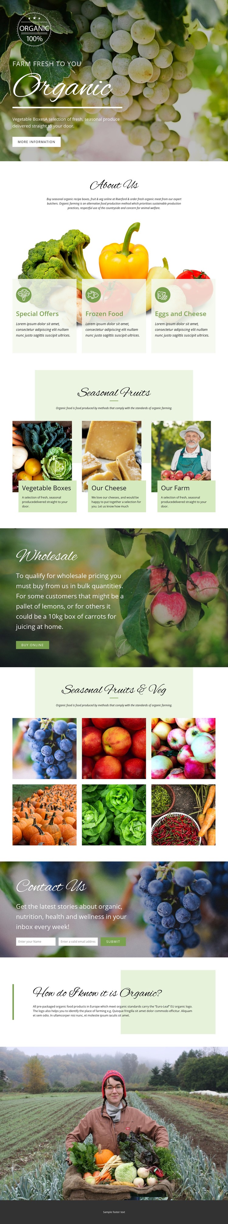 Healthier with organic food Webflow Template Alternative