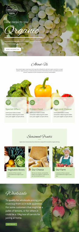 Healthier With Organic Food Store Responsive