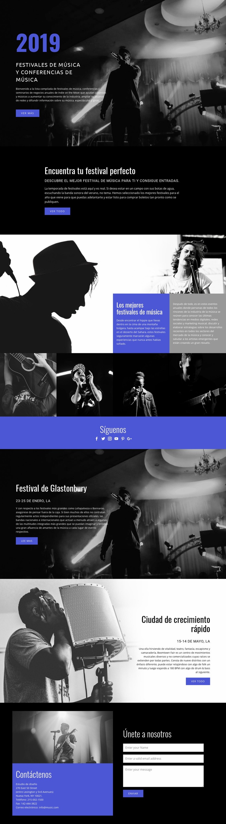 Festivales de música Maqueta de sitio web