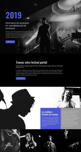 Festivals De Musique - Maquette De Conception Web