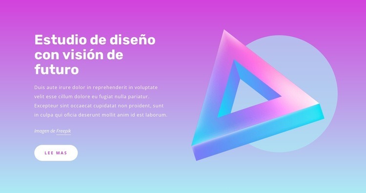 Estudio con visión de futuro Diseño de páginas web