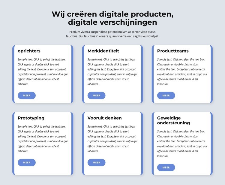 Wij maken digitale producten Website mockup