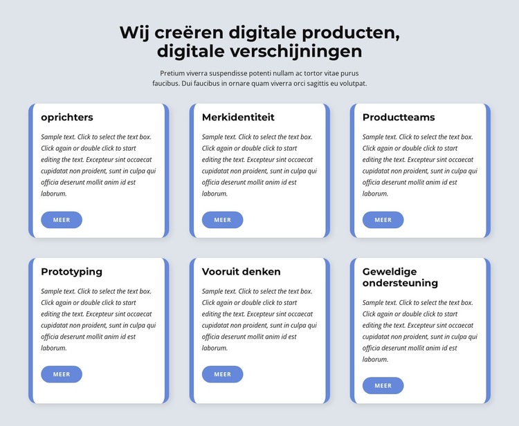 Wij maken digitale producten Website sjabloon