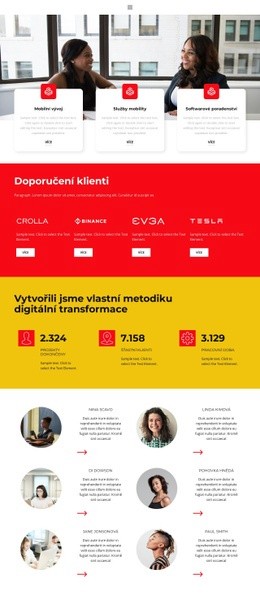 Jeden Z Úspěšných Projektů – Vstupní Stránka