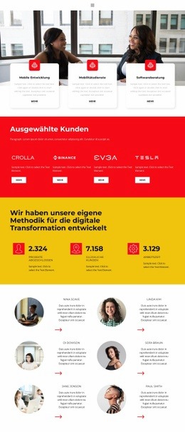 Eines Der Erfolgreichen Projekte - Anpassbares, Professionelles Website-Modell