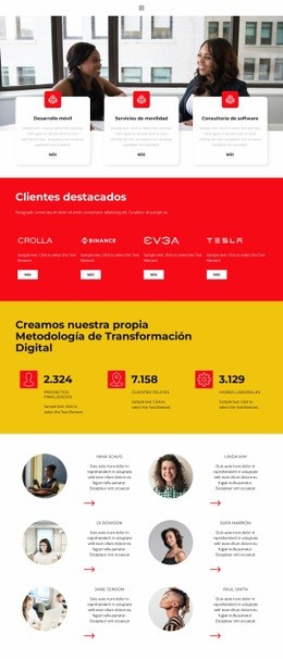 Diseñador De Sitios Web Para Uno De Los Proyectos Exitosos.