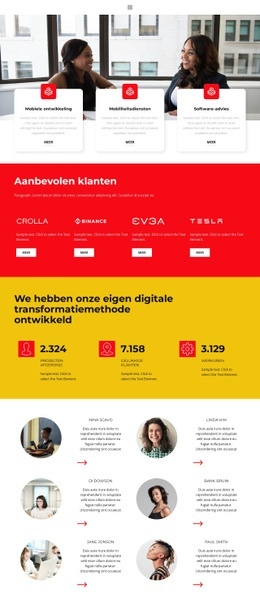 Websiteontwerper Voor Een Van De Succesvolle Projecten